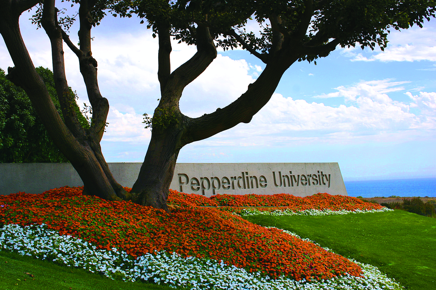 Image of Pepperdine University name on lawn